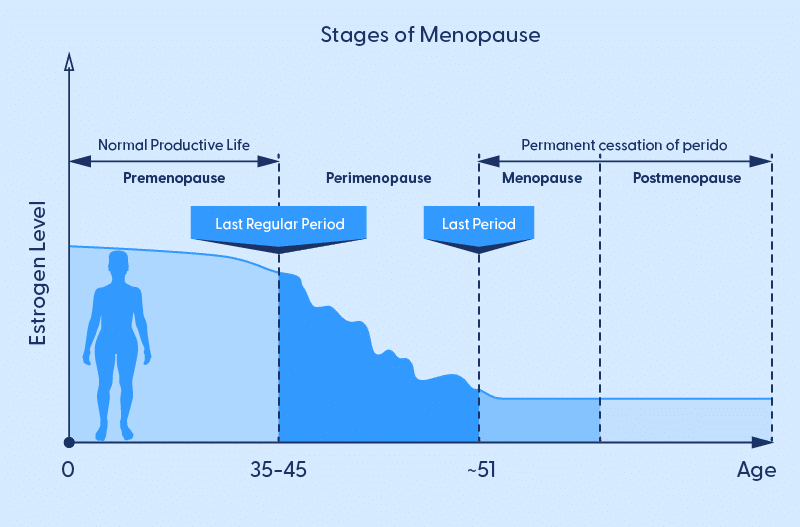 A diagram showing the stages of menopause. The first stage is called premenopause and starts at birth and lasts until between the ages of 35 to 45. The next stage is perimenopause and can occur after the premenopause and usually last until the early 50s. During this time, there will be a decline of hormones, primarily estrogen and progesterone. Around the early 50s, the menopause begins and is defined by the cessation of menstruation of at least 12 months.